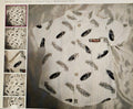 Bekker & Strom Boy's Shirt Size 3Y - White with Black Leaves Short Sleeve