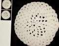 White crocheted doily on a black background with smaller doilies inset on the left.