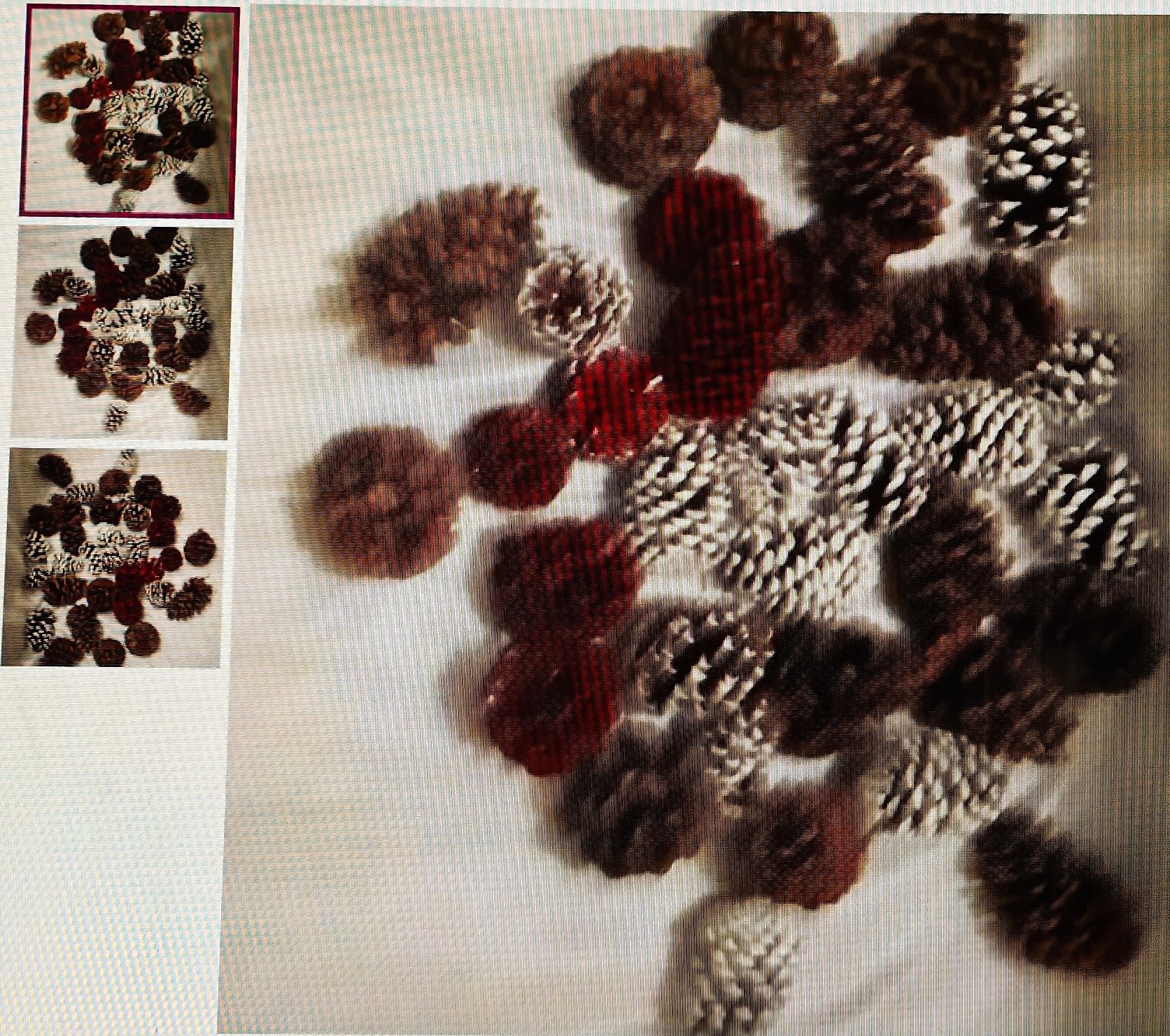 Assorted pinecones on a textured surface with close-up insets.