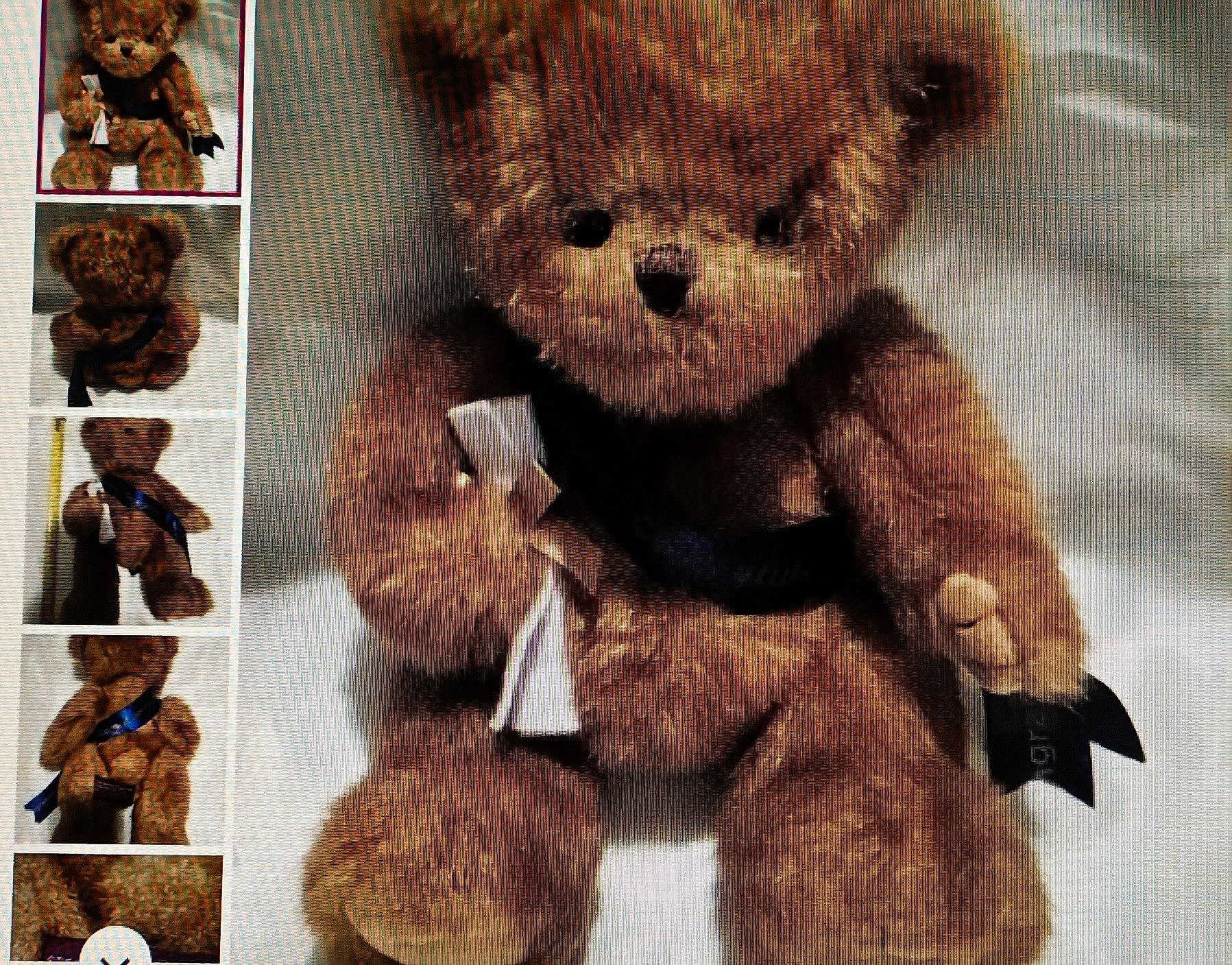 Brown teddy bear with a bow tie on a white background