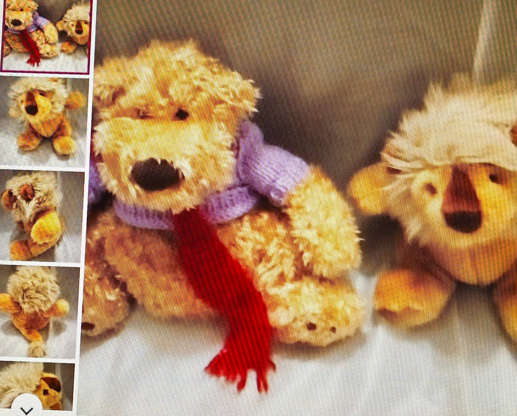 Teddy bear with a purple scarf and red tassel on a white surface, surrounded by smaller images of the bear.
