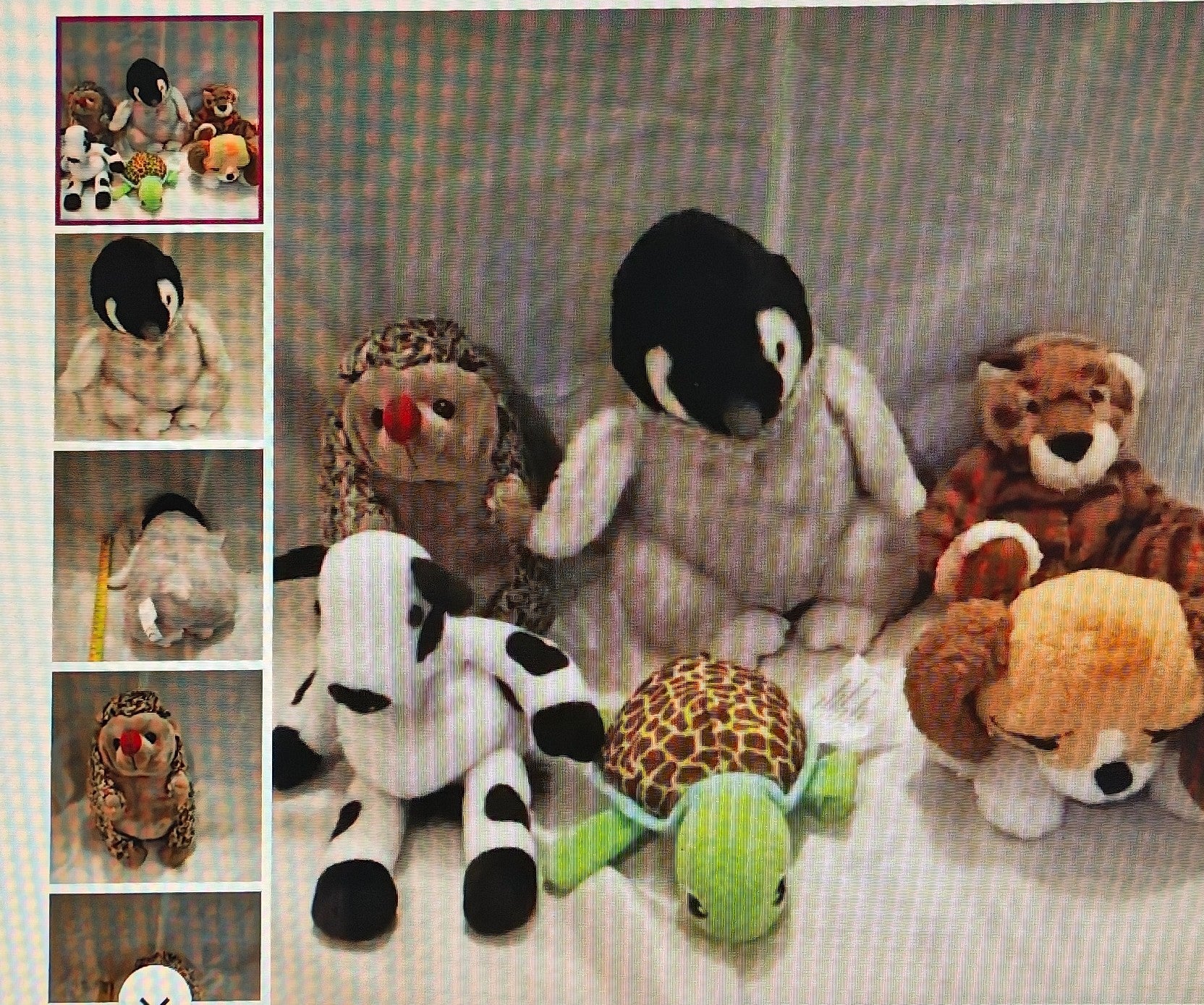 Adorable Plush Animal Collection - Black, White, Brown, Green
