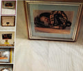 Framed picture of a cat with a cage on a textured wall