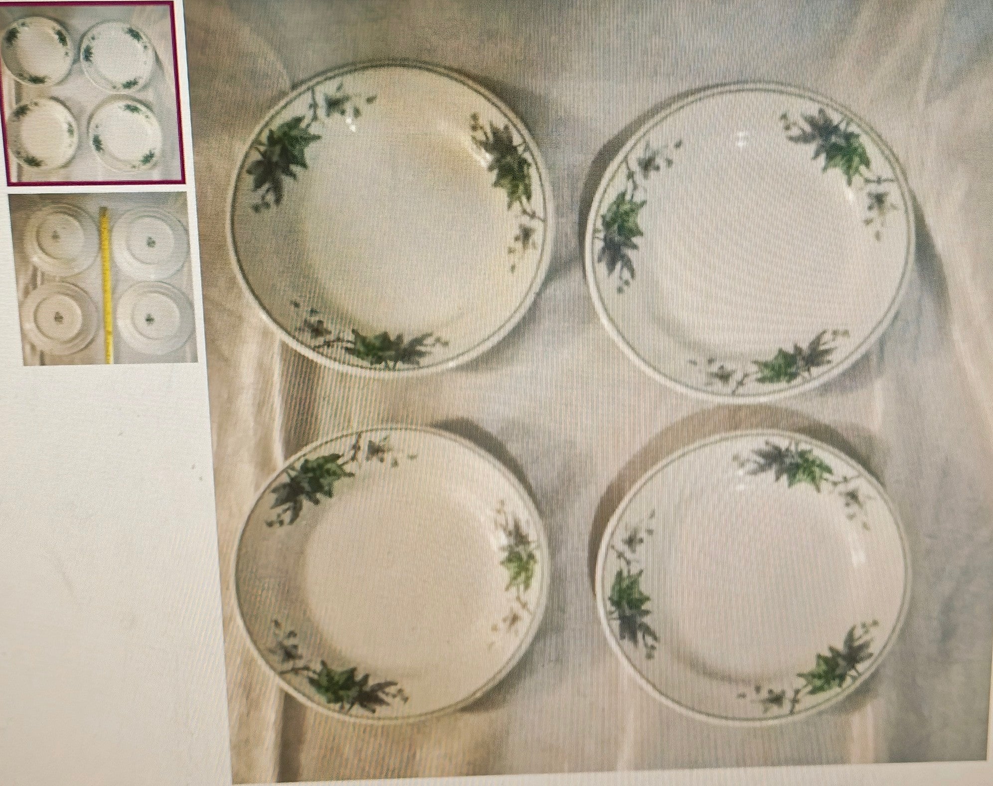 Four ceramic plates with green floral patterns on a textured surface.