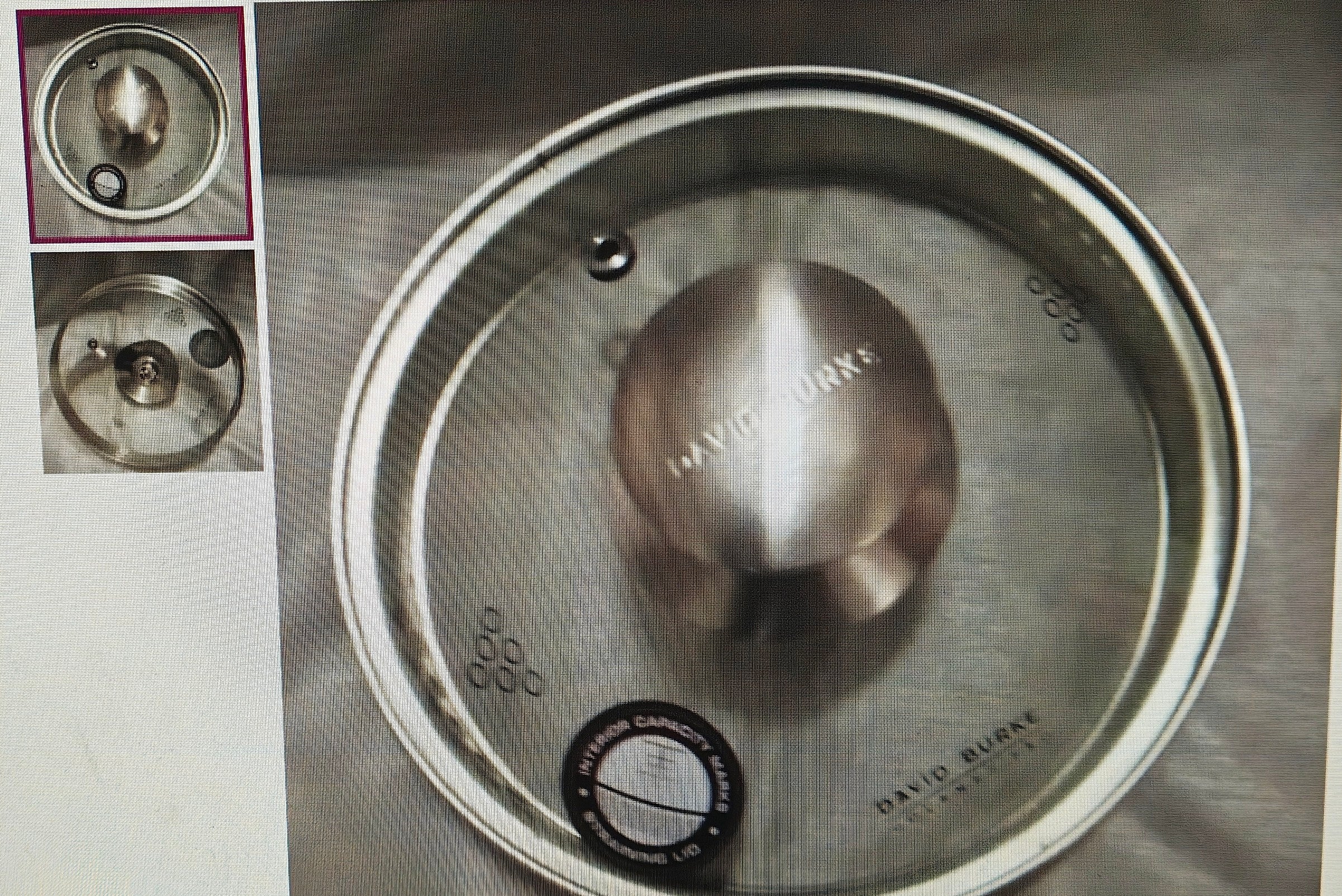 Stainless steel lid with 'Dalek Burke' branding on a metallic surface.