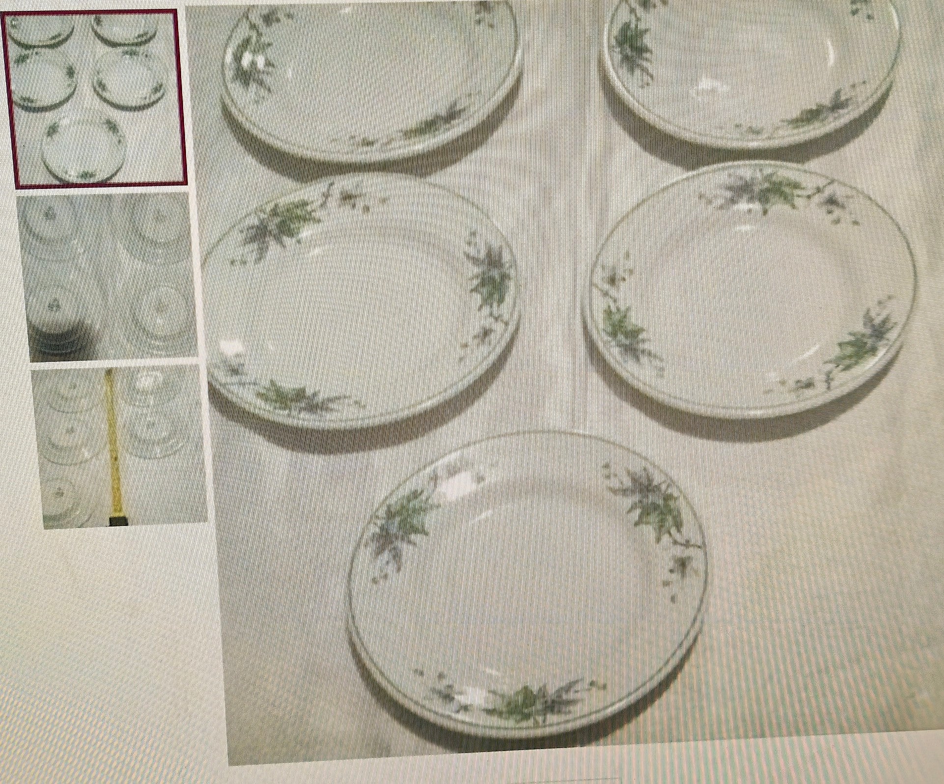 Set of ceramic plates with floral patterns on a textured surface.