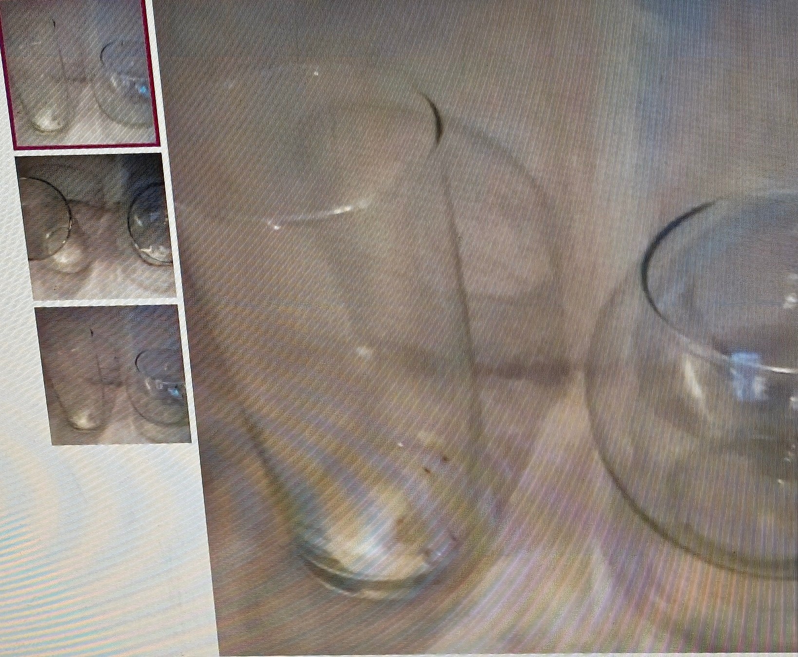 Clear glassware on a textured surface with inset images showing different angles.