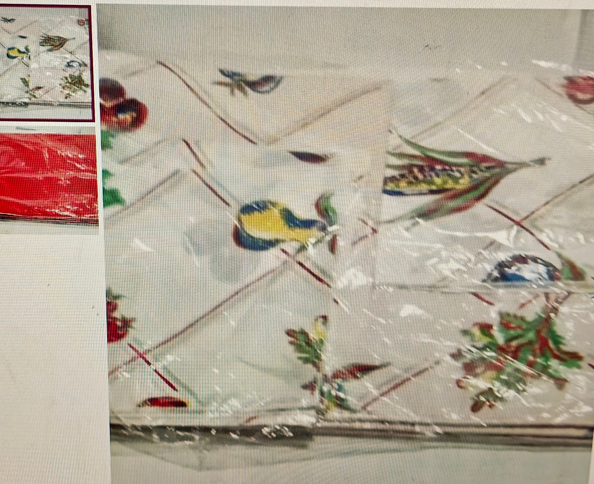 Decorative tablecloth with bird pattern under clear plastic