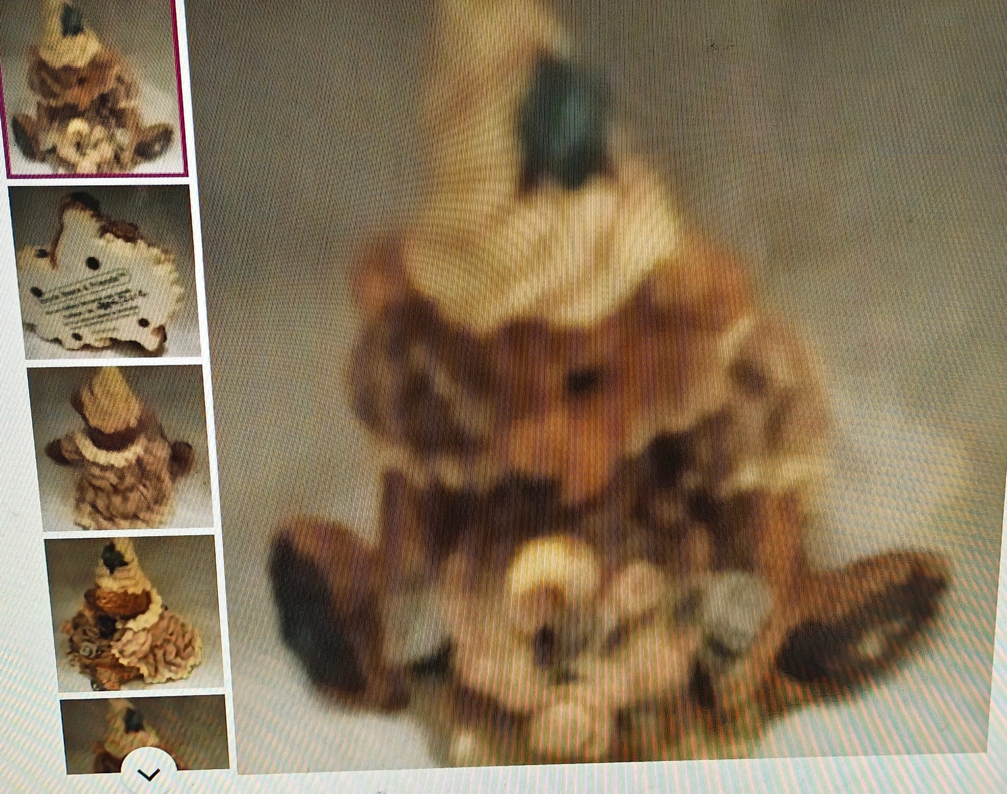 Blurred wooden bear figurine with inset images showing different angles.