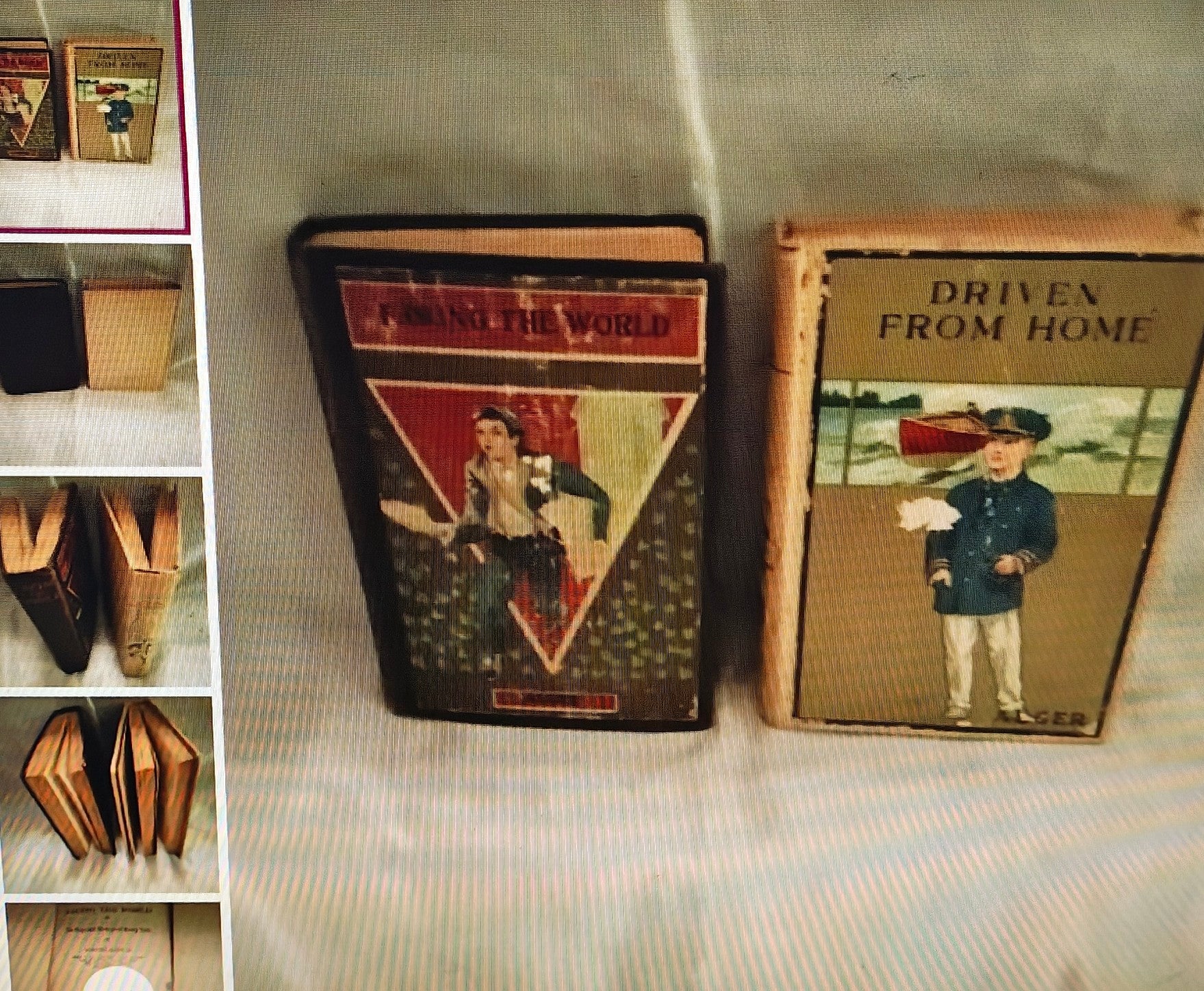 Two vintage books titled 'Driven From Home' and 'Far from the World' on a textured surface.
