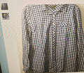 Blue and white checkered shirt on a plain background