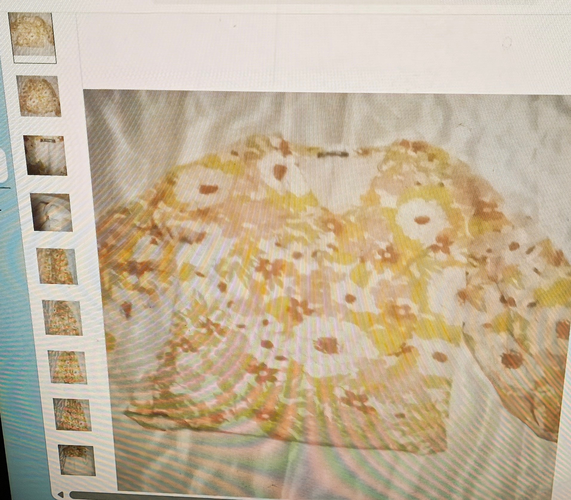Close-up of a textured surface with floral patterns and a film strip border.