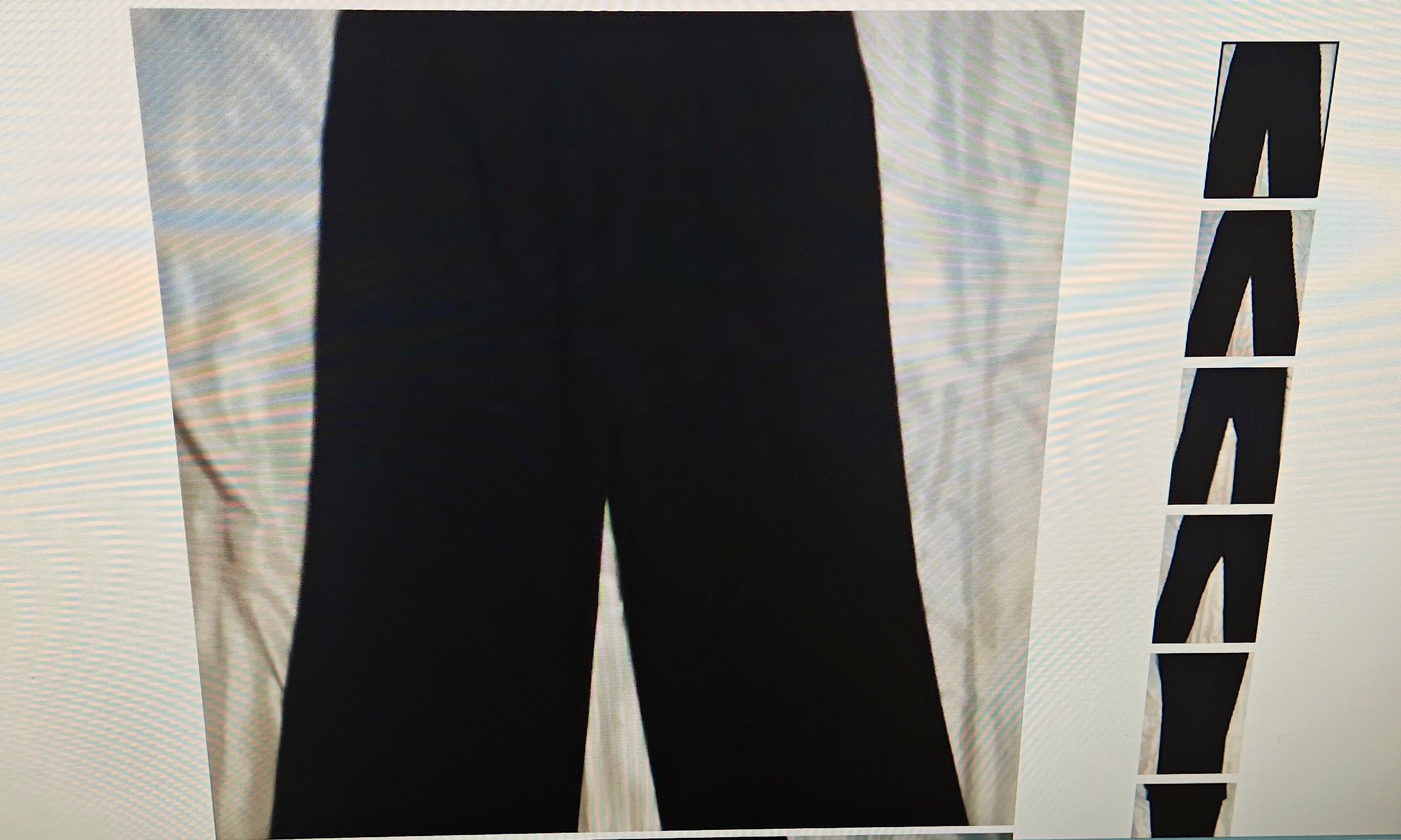 Dressy men's pants with side pockets with six belt hoops button covered flap in front and zipper with clip and button closure.
