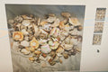 A pile of assorted natural seashells and shell fragments in varied beige, cream, tan, and brown tones, spread out on a light fabric surface. Three small thumbnail images appear along the right side of the main photo.