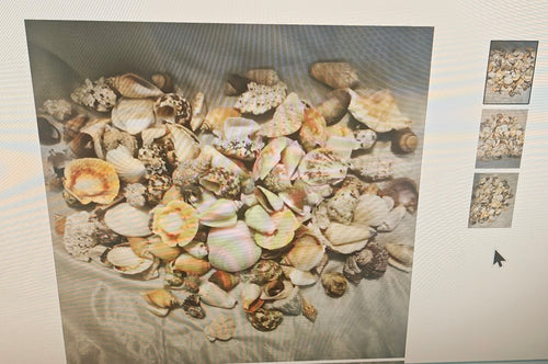 A pile of assorted natural seashells and shell fragments in varied beige, cream, tan, and brown tones, spread out on a light fabric surface. Three small thumbnail images appear along the right side of the main photo.