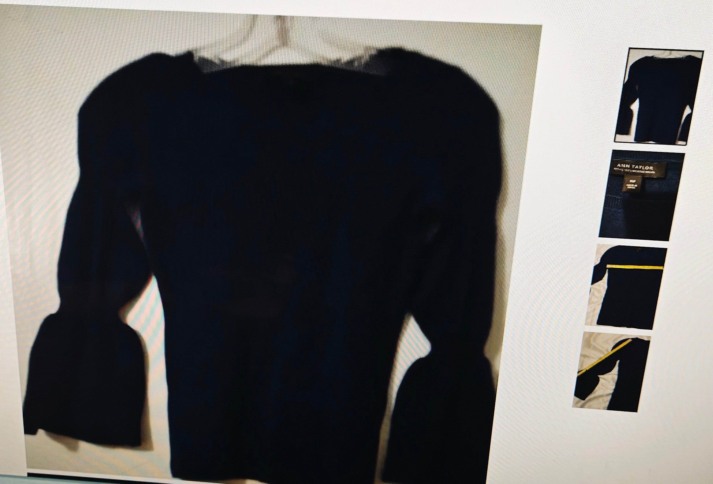 Women's Ann Taylor petite 100% Merino wool XSP sweater whimsical doll core
